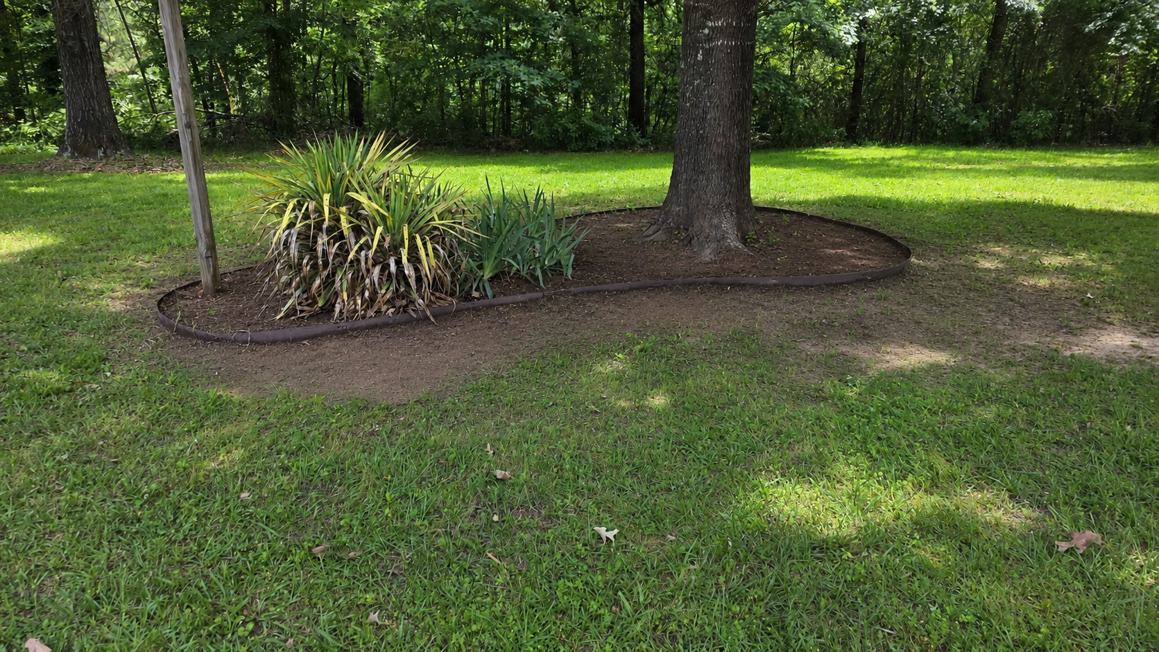 Landscape bed after cleanup in Hot Springs Arkansas