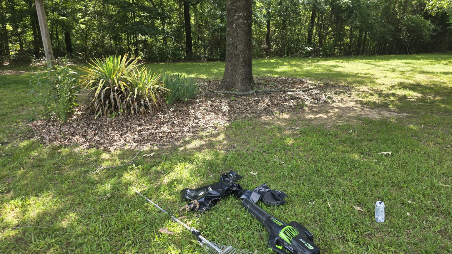 Landscape bed before cleanup in Hot Springs Arkansas